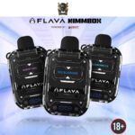 Flava Nimmbox 10000 Puffs Disposable