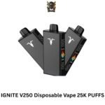 IGNITE V250 Disposable Vape 25K PUFFS
