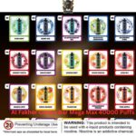 Al Fakher Crown Bar Mega Max 40000 Puffs